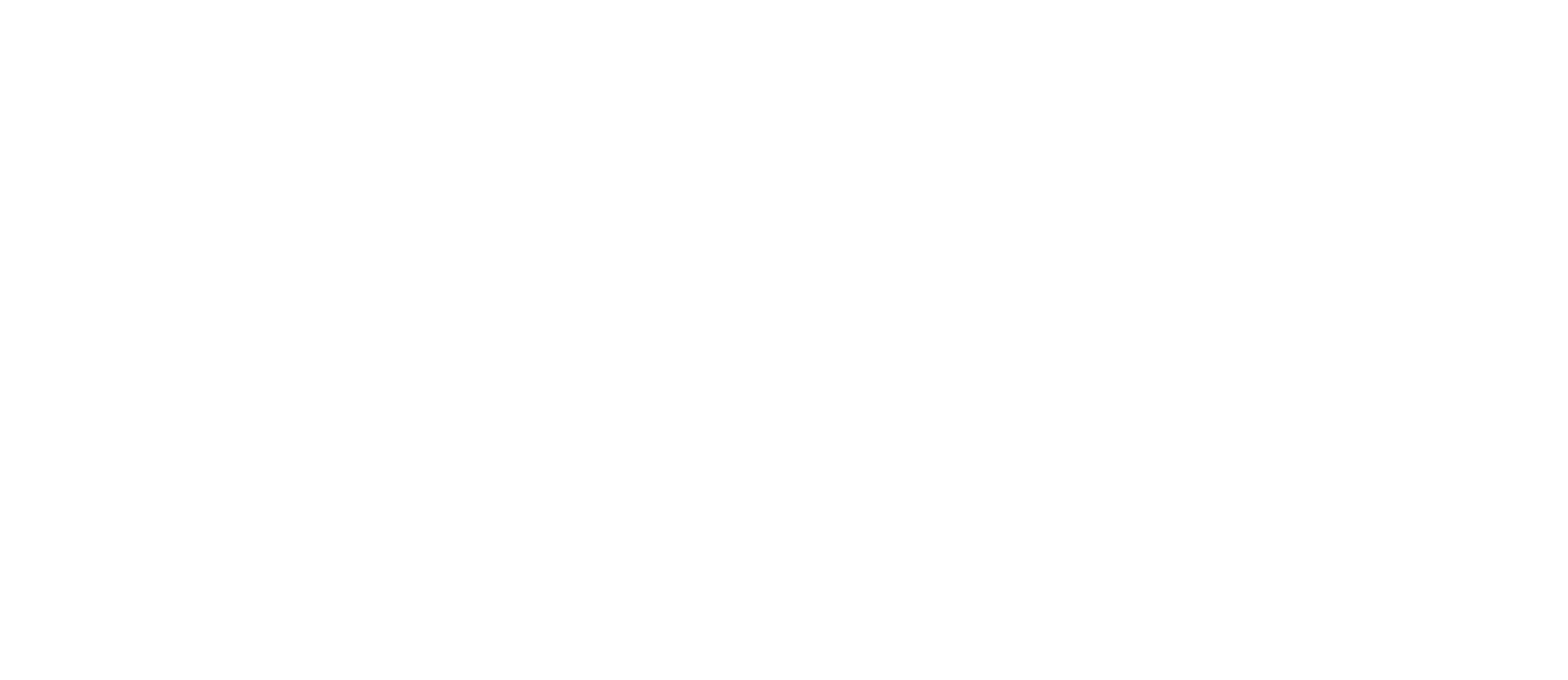MONI Worldwide